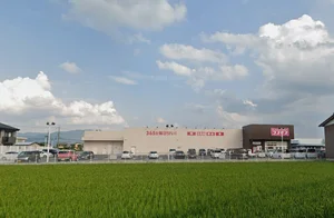 ディスカウントドラッグコスモス 愛知川店まで徒歩4分、350m。