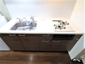 一人暮らしには十分すぎる広さのキッチン！　ガスコンロ2口にて　料理で栄養バランス調整！