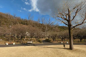 梅林公園まで車で7分、2.3ｋｍ