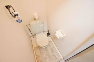 トイレ用洗剤、ブラシをご用意しておりますので長期ご利用の場合の気になる汚れなどもお掃除して頂けます♪オプション不要の岐阜県本巣市ウィークリーマンション。