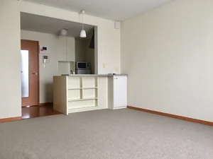 河内郡上三川町のマンスリーマンション・ウィークリーマンション「レオパレスＫＡＭＩＮＯＫＡＷＡ 205(No.541237)」メイン画像