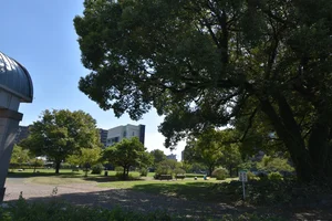 白川公園
