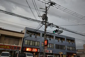 焼き鳥ますだなど