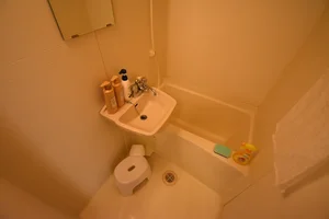 【岐阜市ウィークリーマンションバス画像】岐阜市マンスリーマンションでは、バスルームにも多数の備品を設置。シャンプー、トリートメント、ドライヤーは標準設備♪