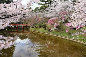 偕楽公園・桜まで車で5分