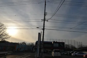 スポーツコアアルファ