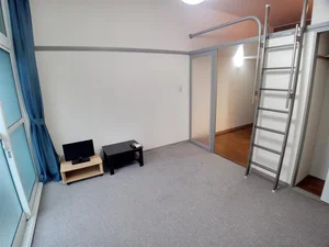 広島県のマンスリーマンション・ウィークリーマンション「レオパレスＲｏｓｙ 103(No.633261)」メイン画像