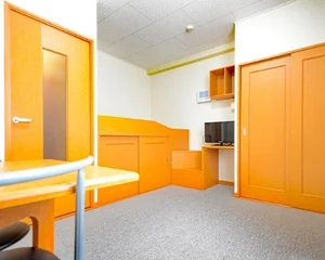 のマンスリーマンション・ウィークリーマンション「レオパレス飯島 205(No.633300)」メイン画像