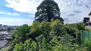 愛宕山城跡まで車で9分