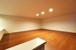 ロフト付で　通常の空間ではない異空間！　収納・寝室・室内干しなど用途様々で便利！