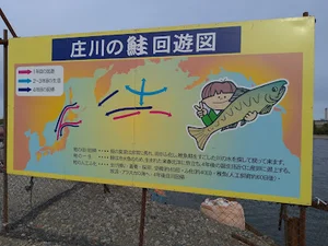庄川サケ祭り会場まで車で6分