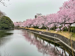 高岡古城公園まで車で7分