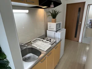 スポンジ・洗濯洗剤(サービス品)