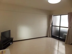 のマンスリーマンション・ウィークリーマンション「レオネクスト野一色スカイブルー 202(No.776200)」メイン画像