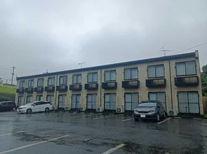 鹿児島中央駅（鹿児島県）・鹿児島中央駅前駅（鹿児島県）のマンスリーマンション・ウィークリーマンション「レオパレスｅｍｉ 207(No.810692)」メイン画像