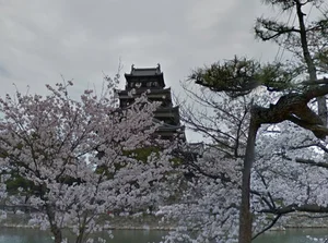 広島城 徒歩13分