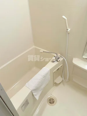 セパレートタイプ♪