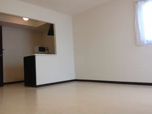 平塚駅（神奈川県）のマンスリーマンション・ウィークリーマンション「レオネクスト大 103(No.818788)」メイン画像