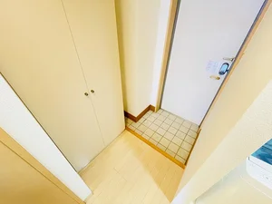 シューボックスも収納大容量♪靴を収納でき、清潔に保てます★☆