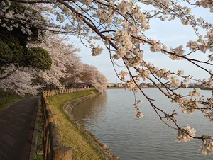 石垣池まで車で5分