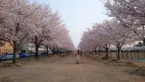 旭化成 鈴鹿製造所まで車で11分