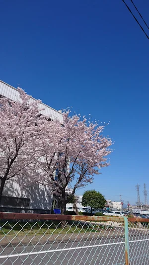 住友電装(株) 四日市塩浜開発技術センターまで徒歩11分