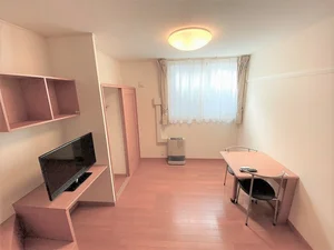 北海道のマンスリーマンション・ウィークリーマンション「レオパレス若草 203(No.877639)」メイン画像