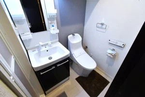 独立洗面台付で朝支度やお風呂上りに便利で法人様や女性の方にも嬉しいアイテム!
