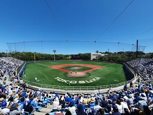 横須賀スタジアムまで徒歩13分