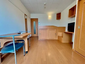 諏訪郡下諏訪町のマンスリーマンション・ウィークリーマンション「レオパレスアルシオネⅡ 209(No.909030)」メイン画像