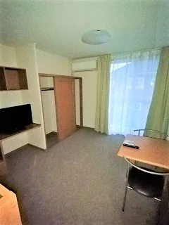 岩沼市のマンスリーマンション・ウィークリーマンション「レオパレスアベニュー 205(No.923490)」メイン画像