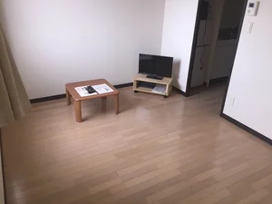 のマンスリーマンション・ウィークリーマンション「レオネクストワンニュー 104(No.939953)」メイン画像