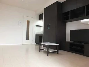 高崎駅（群馬県）のマンスリーマンション・ウィークリーマンション「レオネクストエリタージュ 203(No.959044)」メイン画像