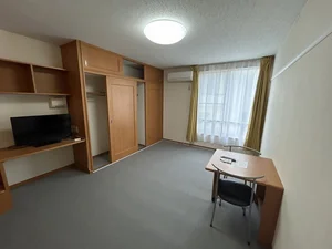 埼玉県のマンスリーマンション・ウィークリーマンション「レオパレスジャクリン 206(No.983399)」メイン画像