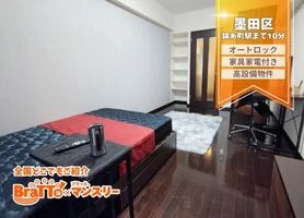 「【錦糸町・両国までアクセス◎】駅近×静音｜家具家電一式｜禁煙｜出張・法人歓迎｜BraTTo錦糸町エグゼ(No.1135694)」メイン画像