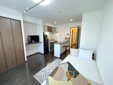 「マイナビSTAYエナジャイズ駒込 502(No.476691)」メイン画像