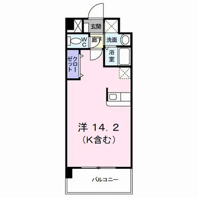 エヴァーグリーンＮ