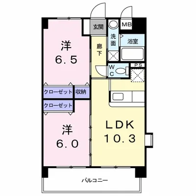 エヴァーグリーンＮ
