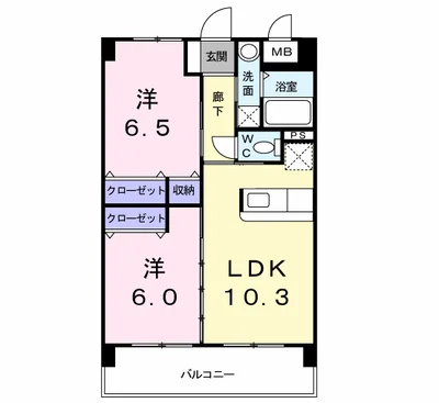 エヴァーグリーンＮ