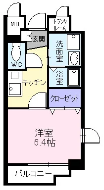 プラシード輝