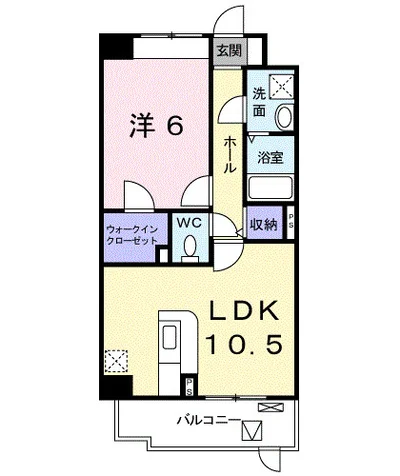 フォレスト光