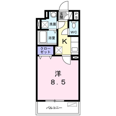 カメリア Y