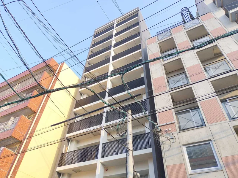 外観