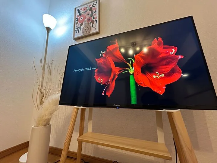 スマートテレビでYouTubeなどのご視聴が可能です！