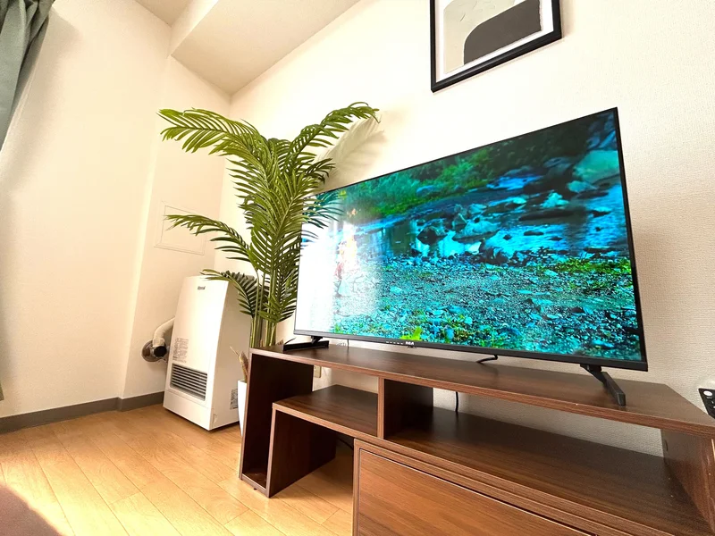 テレビではYouTubeなどもご視聴可能♪