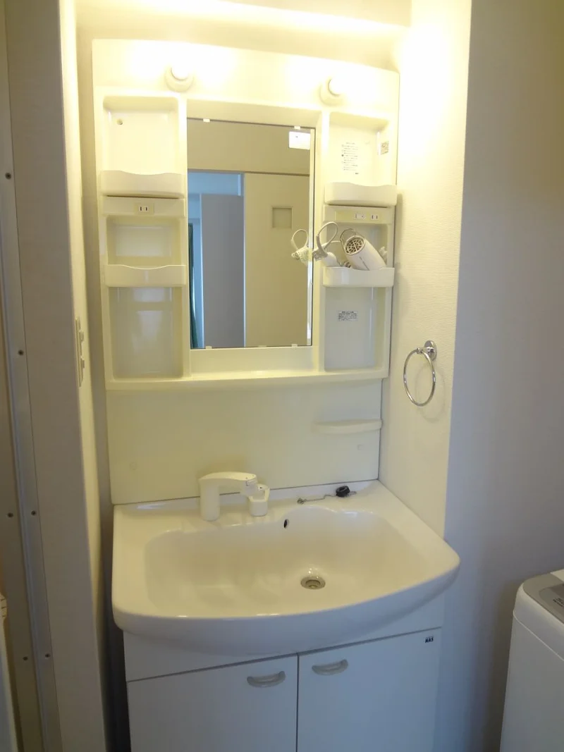 シャンプードレッサー