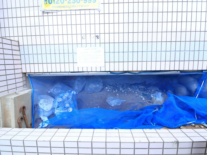 敷地内ゴミ捨て場