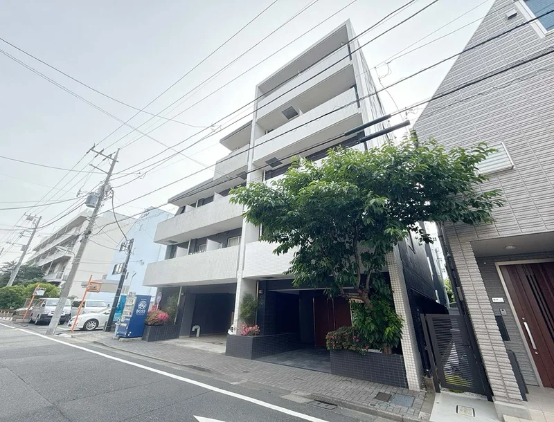 写真はお部屋のイメージです。ラグなどの室内装飾はございません。