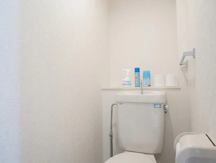 トイレ洗剤や芳香剤・トイレブラシもあります！当然　トイレットペーパーもございます！