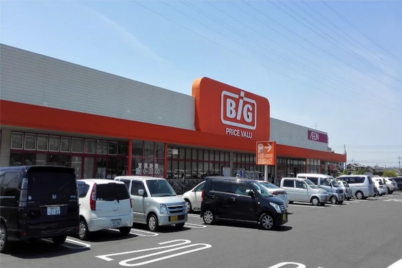 ザ・ビッグ奥田南店まで徒歩10分、800ｍ。
